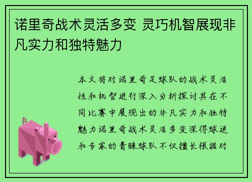 诺里奇战术灵活多变 灵巧机智展现非凡实力和独特魅力