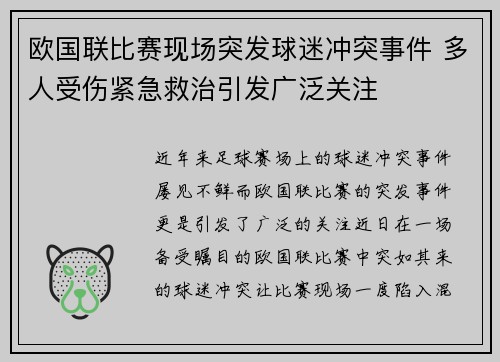 欧国联比赛现场突发球迷冲突事件 多人受伤紧急救治引发广泛关注