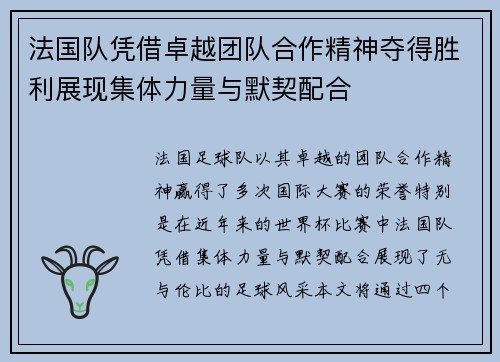法国队凭借卓越团队合作精神夺得胜利展现集体力量与默契配合