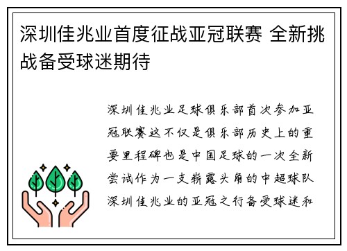 深圳佳兆业首度征战亚冠联赛 全新挑战备受球迷期待