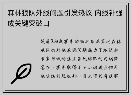 森林狼队外线问题引发热议 内线补强成关键突破口